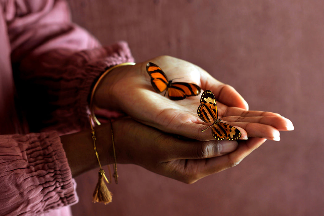 Training Handlezen + Boek Handlezen en afdrukvel