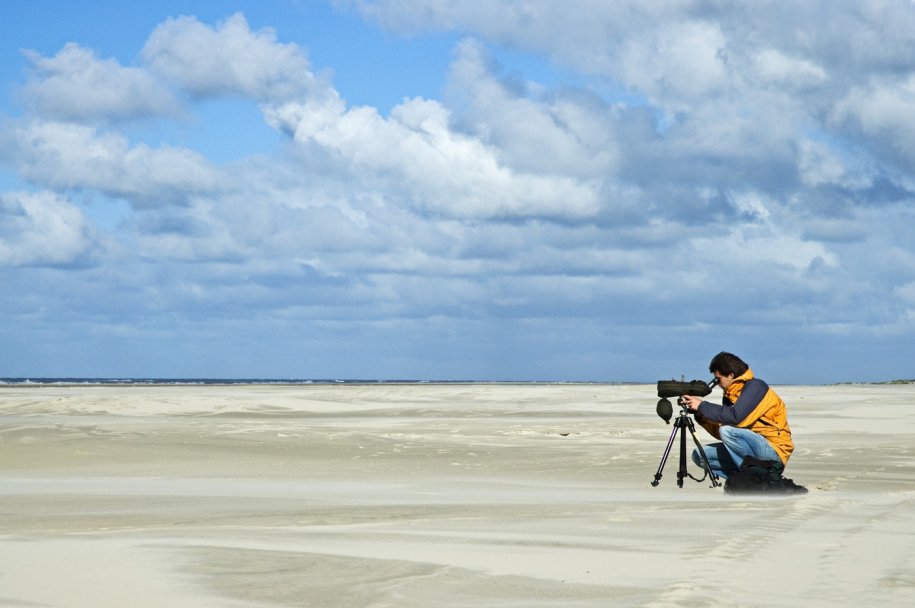 Roots Vogelweekend Vlieland - 4 t/m 6 oktober 2024