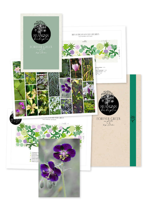 Seasons Borderplan Forever Green