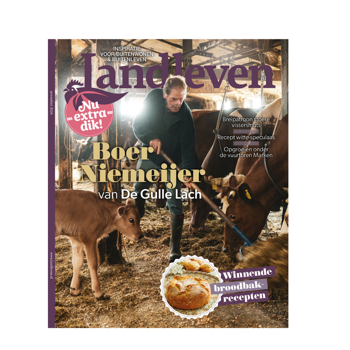 Country life November 2024 extra thick