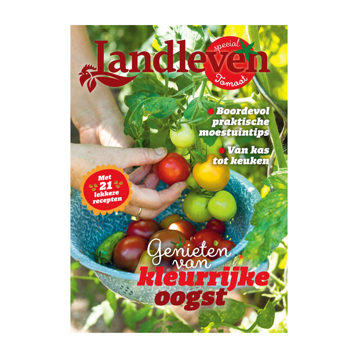 Landleven special Tomaten 2026