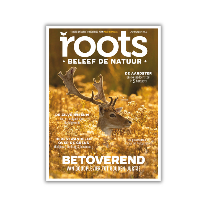 Roots editie 10 - 2024