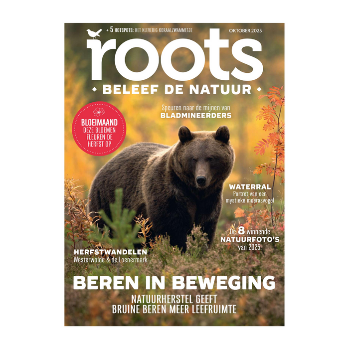 Roots editie 10 - 2025