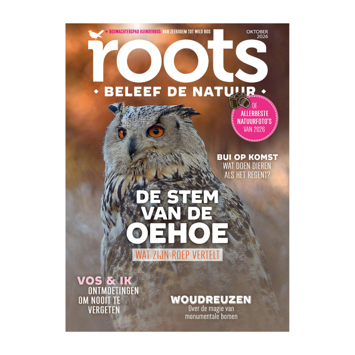 Roots oktober - 2026