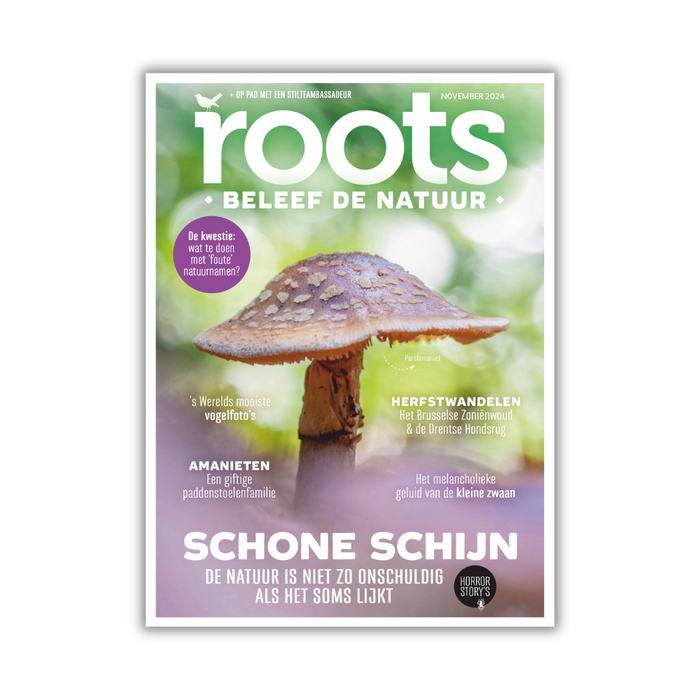 Roots editie 11 - 2024