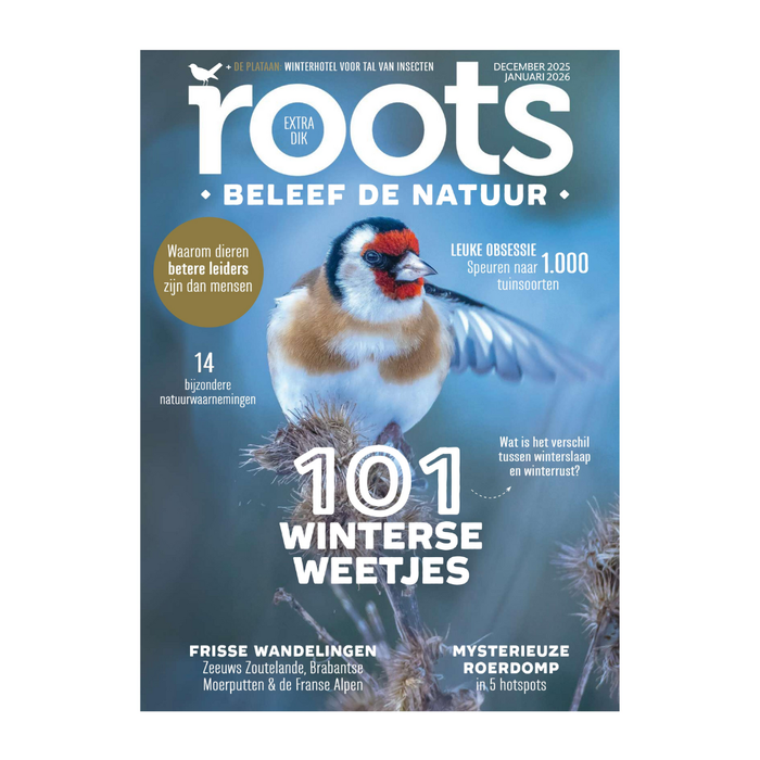 Roots editie 12/1 - 2025 - extra dik winternummer + Roots Jaarkalender 2026