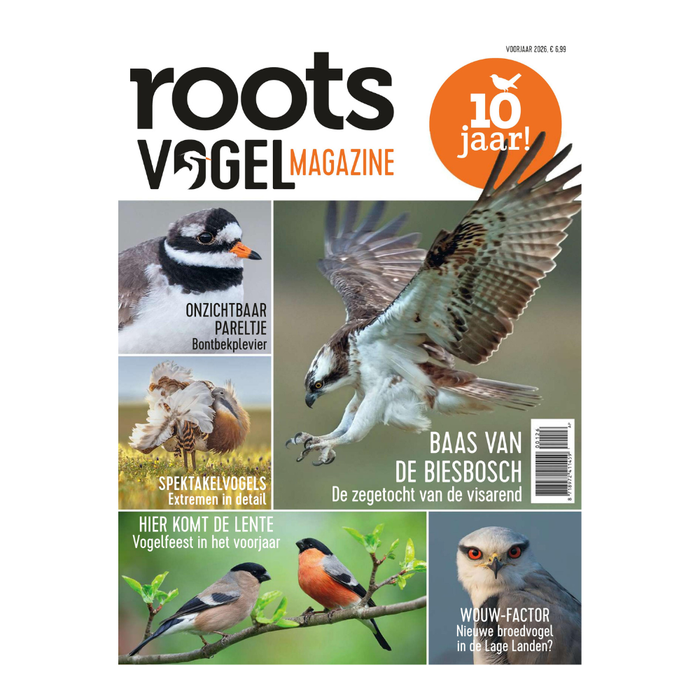 Vogelmagazine 1 - voorjaar 2026