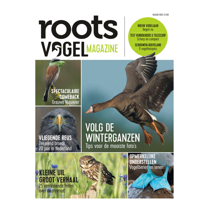 Vogelmagazine 2 - najaar 2026