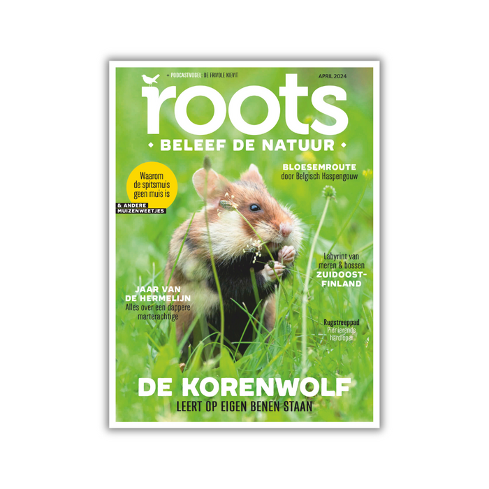 Roots editie 4 - 2024