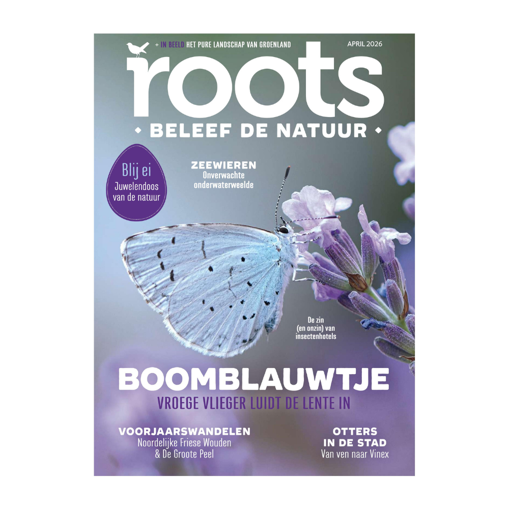 Roots abonnement (doorlopend)
