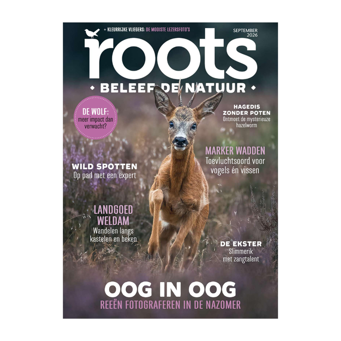 Roots september - 2026