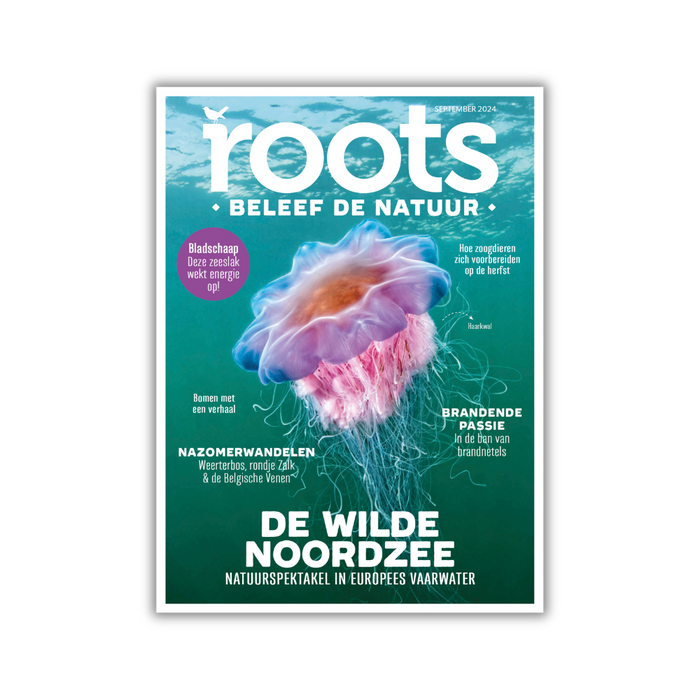 Roots editie 9 - 2024