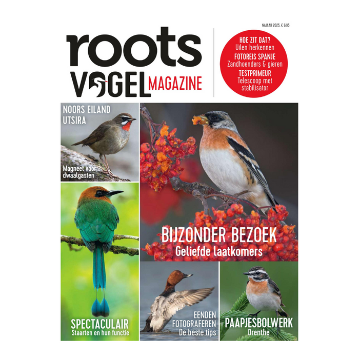 Roots Vogelmagazine - najaar 2025