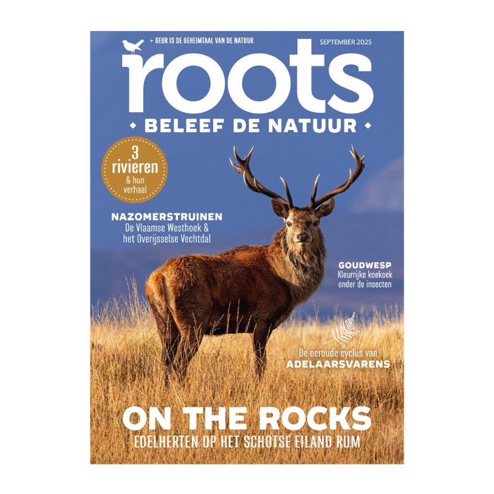 Roots editie 9 - 2025