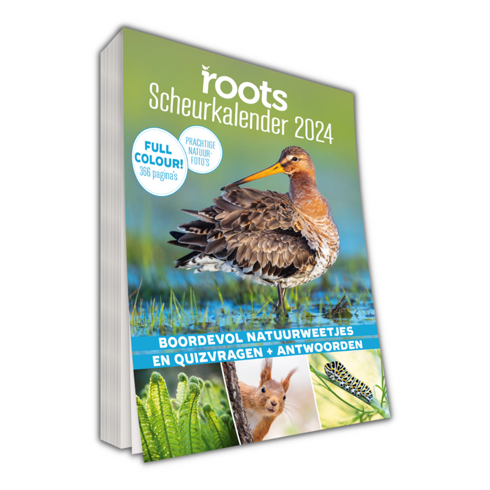 Roots Scheurkalender 2024