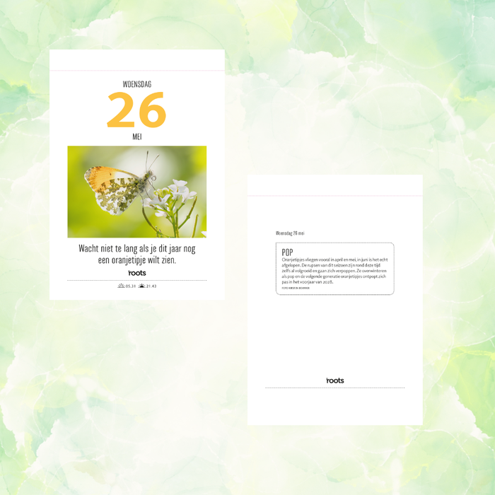 Roots Scheurkalender 2027