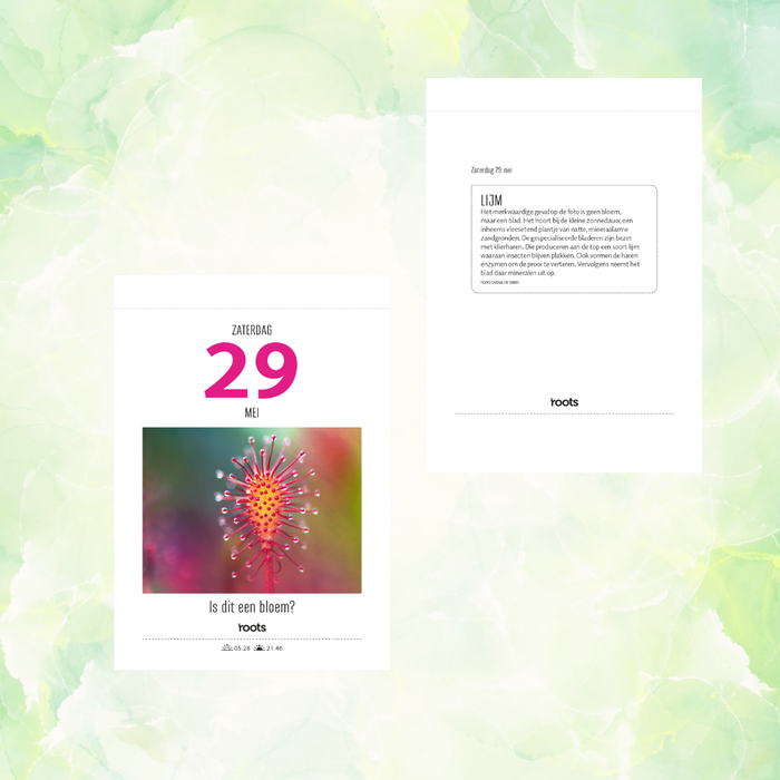 Roots Scheurkalender 2027