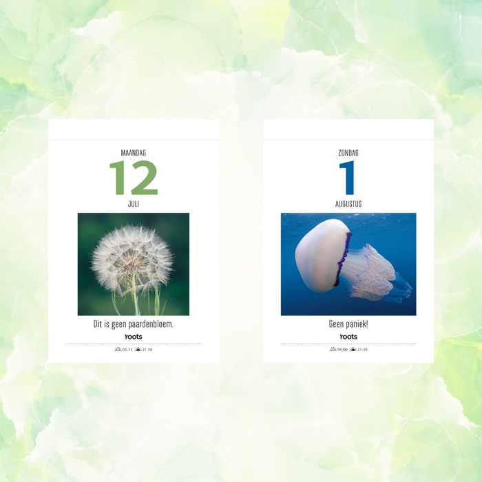 Roots Scheurkalender 2027