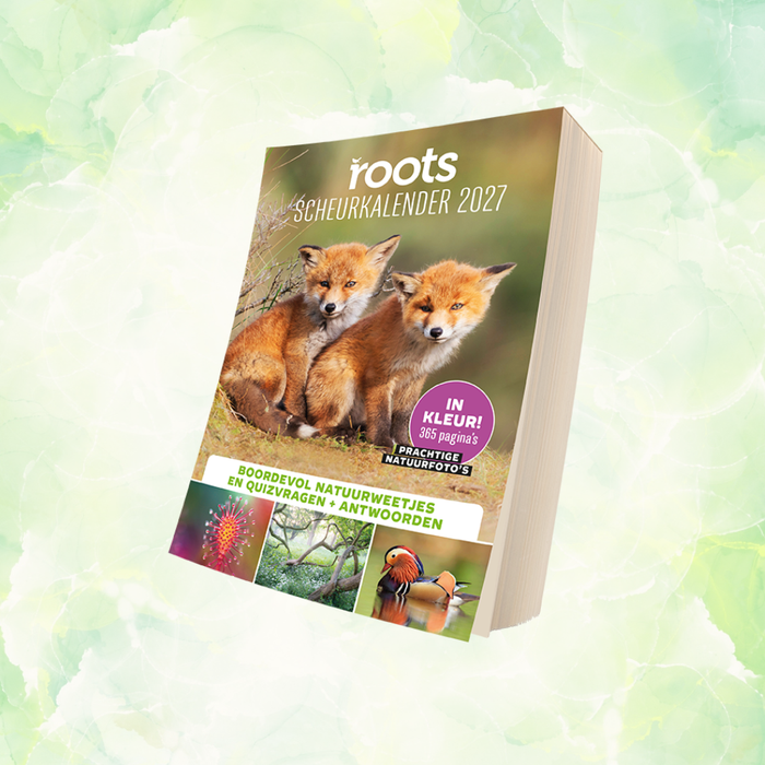 Roots Scheurkalender 2027