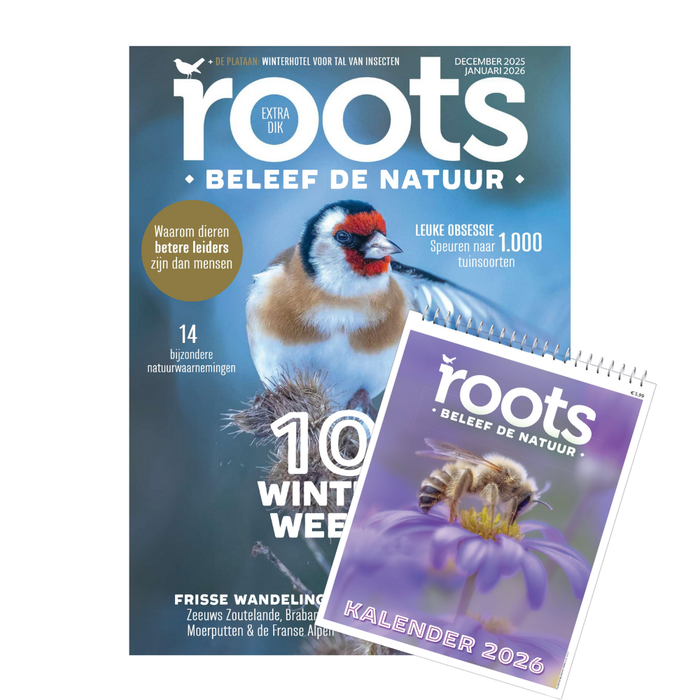 Roots editie 12/1 - 2025 - extra dik winternummer + Roots Jaarkalender 2026