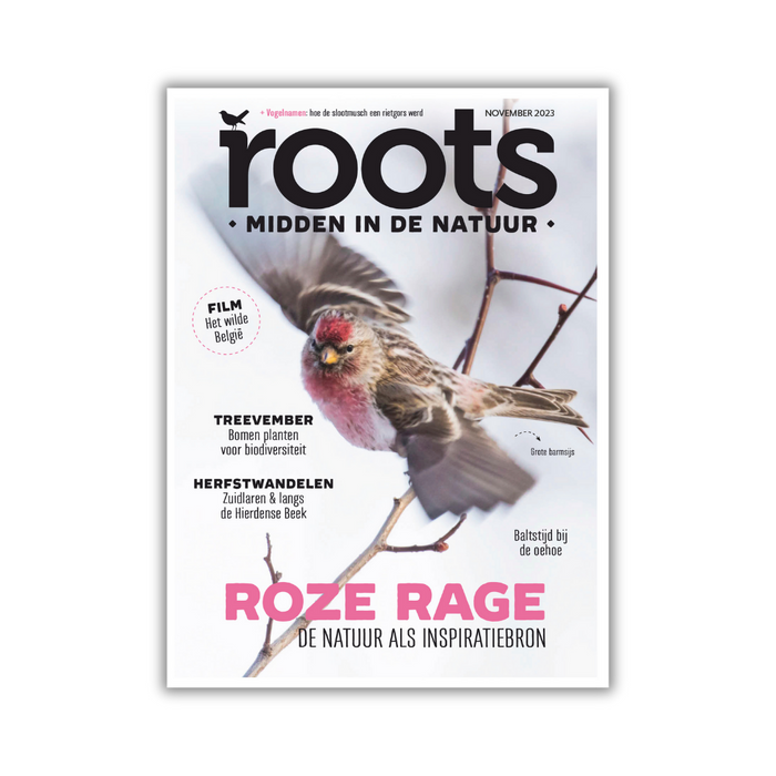 Roots editie 11 - 2023