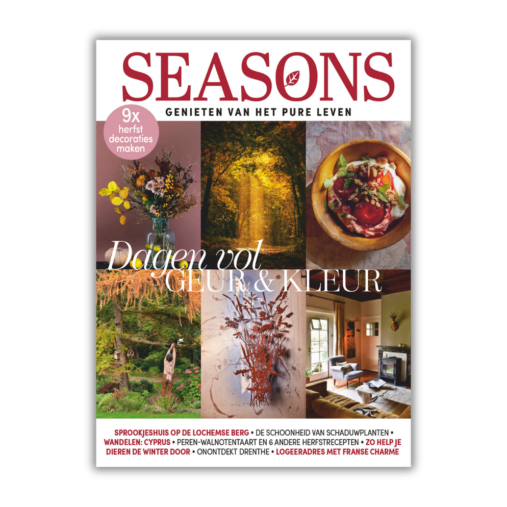 Seasons editie 11 2023