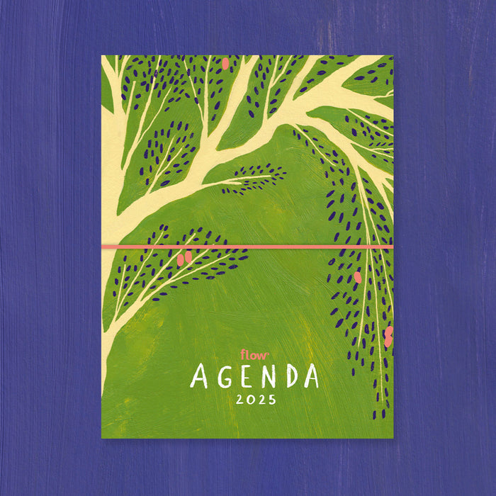 Flow Agenda 2025