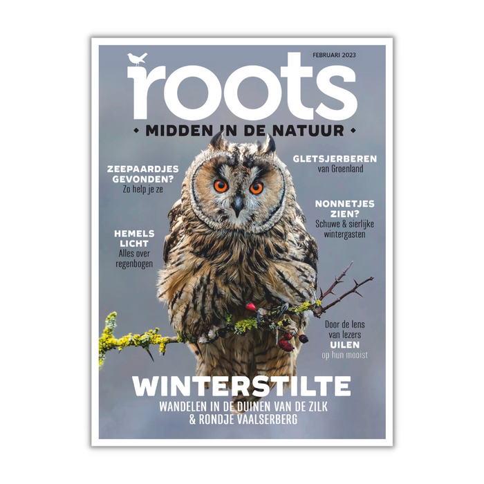 7x Roots Magazine  – Landschap Noord-Holland